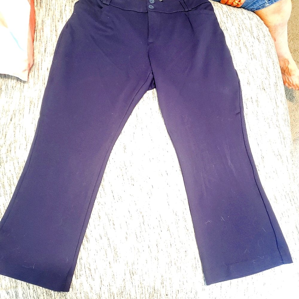 Studio by Torrid Flare Leg Pants